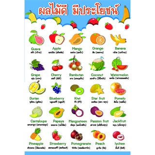 โปสเตอร์ คำศัพท์ภาษาอังกฤษ ผลไม้