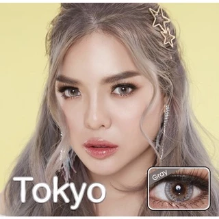 tokyo gray(Dreamcolor1)