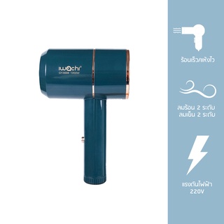 IWACHI เครื่องเป่าผม ไดร์เป่าผม ไอออน รุ่น GY-6688 IWC-HAIR-DRYER-GY-6688-220V-1200W  Yonling