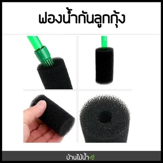 ฟองน้ำกันลูกกุ้ง ฟองน้ำกันกุ้ง ฟองน้ำเครื่องกรอง ฟองน้ำกันสิ่งสกปรก กรองแขวน กรองนอก ปั๊มน้ำ | บ้านไม้น้ำ🌿