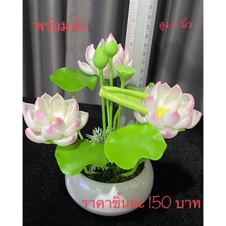 ดอกบัวดินปั้นพร้อมกระถางความสูง 6 นิ้ว ราคาชิ้นละ 150 บาท