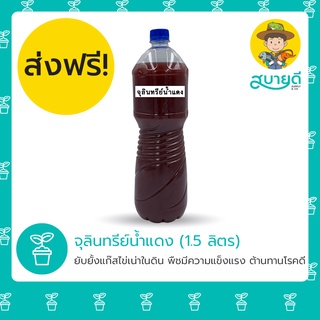 จุลินทรีย์น้ำแดง🔴 PSB จุลินทรีย์สังเคราะห์แสง ขนาด 1.5 ลิตร เร่งราก โตไว แตกหน่อ บำรุงดิน ออร์แกนิค สบายดีซัพพลายแอนด์โค