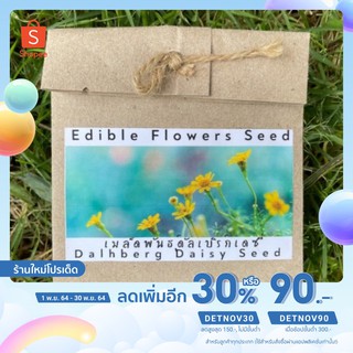 🔥ใส่โค้ด DETNOV เหลือ 23.-🔥 เมล็ดพันธ์ุดอกดัลเบิร์ก เดซี่ดอกไม้กินได้ Dalhberg Daisy seed edible flowers