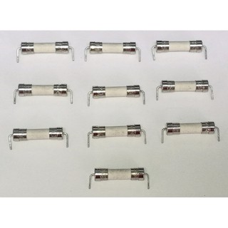 MICRO FUSE 1.25A/250VAC 5X20 mm หางหนู#10ตัว#ฟิวส์