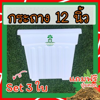 แถมฟรี💥ปุ๋ยคอก 💥กระถางปลูกไม้มงคล Set 3 ใบ  กระถางต้นไม้ 12 นิ้ว กระถางปลูกกุหลาบ กระถางสีขาว กระถางปลูกต้นไม้