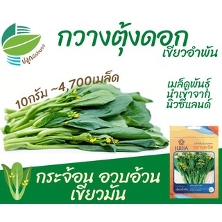 กวางตุ้งดอก (Flowering Pak Choy)​ กระจ้อน