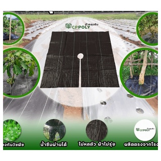 CP ผ้าพลาสติก คลุมวัชพืช ชนิดคลุมโคนต้น ขนาด 0.9x1M.(5/แพ็ค)