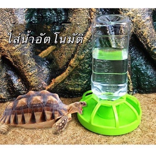 ถาดน้ำเต่าบกสีเขียว ใส่น้ำอัตโนมัติ 250ML