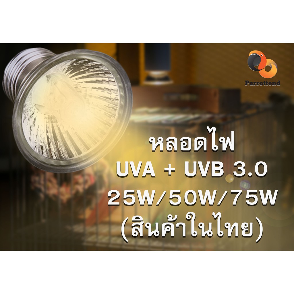 หลอดไฟให้ความร้อนและรังสี UVA + UVB 3.0 ไฟนก ไฟเต่า ไฟกิ้งก่า ไฟสัตว์เลื้อยคลาน