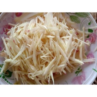 ขิงอ่อน ล้างก่อนส่ง สำหรับทำอาหาร ขิงดอง ขิงซอย ถุงละ 5 กิโลกร
