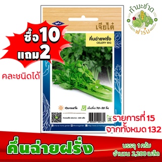 (ซื้อ10แถม2) เมล็ดพันธุ์ คึ่นฉ่ายฝรั่ง Celery ประมาณ 2,200เมล็ด เจียไต๋ เมล็ดพันธุ์พืช เมล็ดพันธุ์ผัก เมล็ดผัก เม็ดผัก