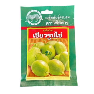 🔥เมล็ดพันธุ์ แตงโมอ่อนเขียวรูปไข่ ตรา เสือดาว ( 15 กรัม )