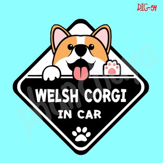 สติ๊กเกอร์ ติดรถ Welsh Corgi Dog In Car สติ๊กเกอร์ติดรถ แต่งรถ car sticker DIC54