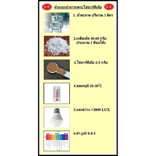 SK ไข่อาร์ทิเมีย กระปุกสีขาว เลี้ยงลูกปลา พ่อแม่พันธ์ุ Artemia Cysts 50 g.