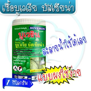 บูเวรีย บัสเซียน่า 1กิโลกรัม ( เพลี้ยกระโดด เพลี้ยแป้งสีขาว เพลี้ยอ่อน เพลี้ยไฟแมลงหวี่ )