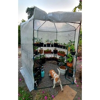 โรงเรือนปลูกพืช โรงเรือนแคตตัส โรงเรือนปลูกผัก Mini Greenhouse รุ่น MS-GR