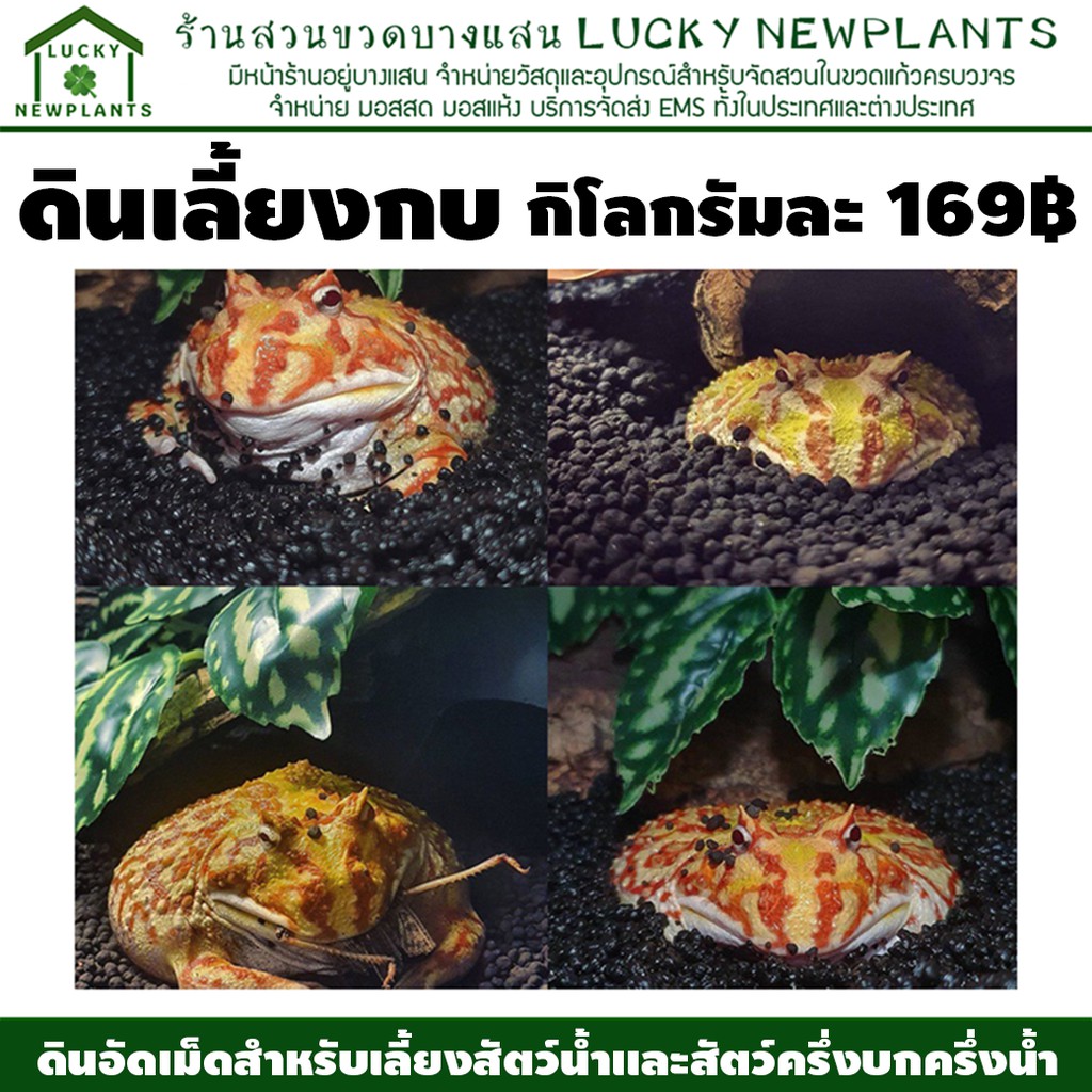 ดินเลี้ยงกบ ดินอัดเม็ด กิโลกรัมละ 169 บาท