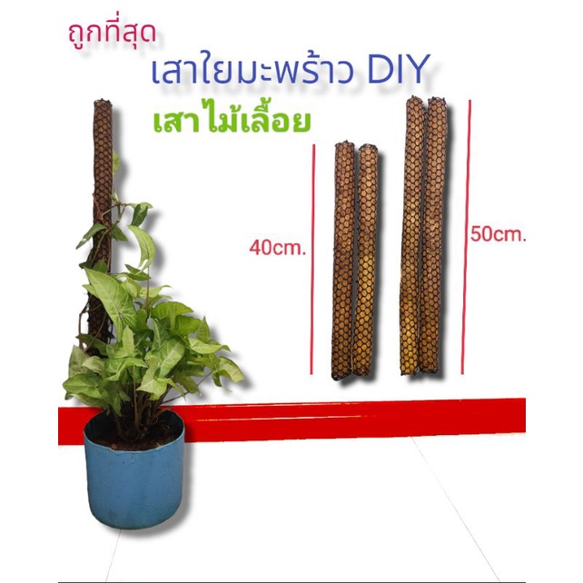 เสาใยมะพร้าว เสาไม้เลื้อย DIY