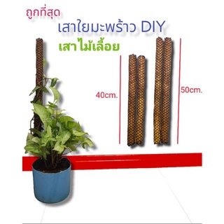 เสาใยมะพร้าว เสาไม้เลื้อย DIY