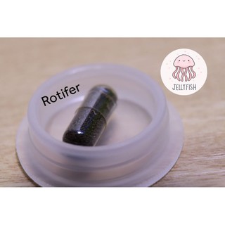 ไข่โรติเฟอร์ Rotifer อาหารสำหรับอนุบาลลูกปลาน้ำจืด