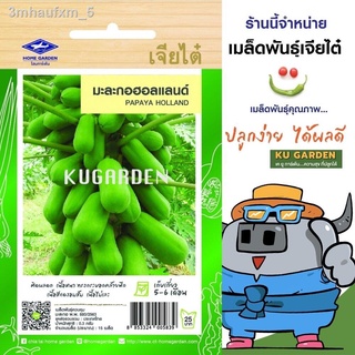 CHIATAI 🇹🇭  ผักซอง เจียไต๋ F115#มะละกอฮอลแลนด์ F1  จำนวนประมาณ 15เมล็ด มะละกอ เมล็ดพันธุ์ผัก เมล็ดผัก เมล็ดพืช ผักสวนค