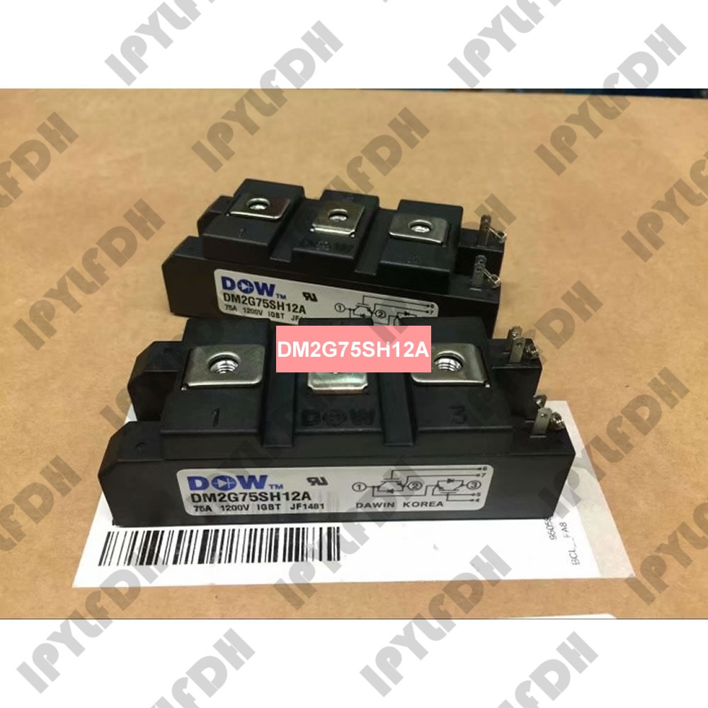 DM2G100SH12AE DM2G75SH12A โมดูลไฟ IGBT