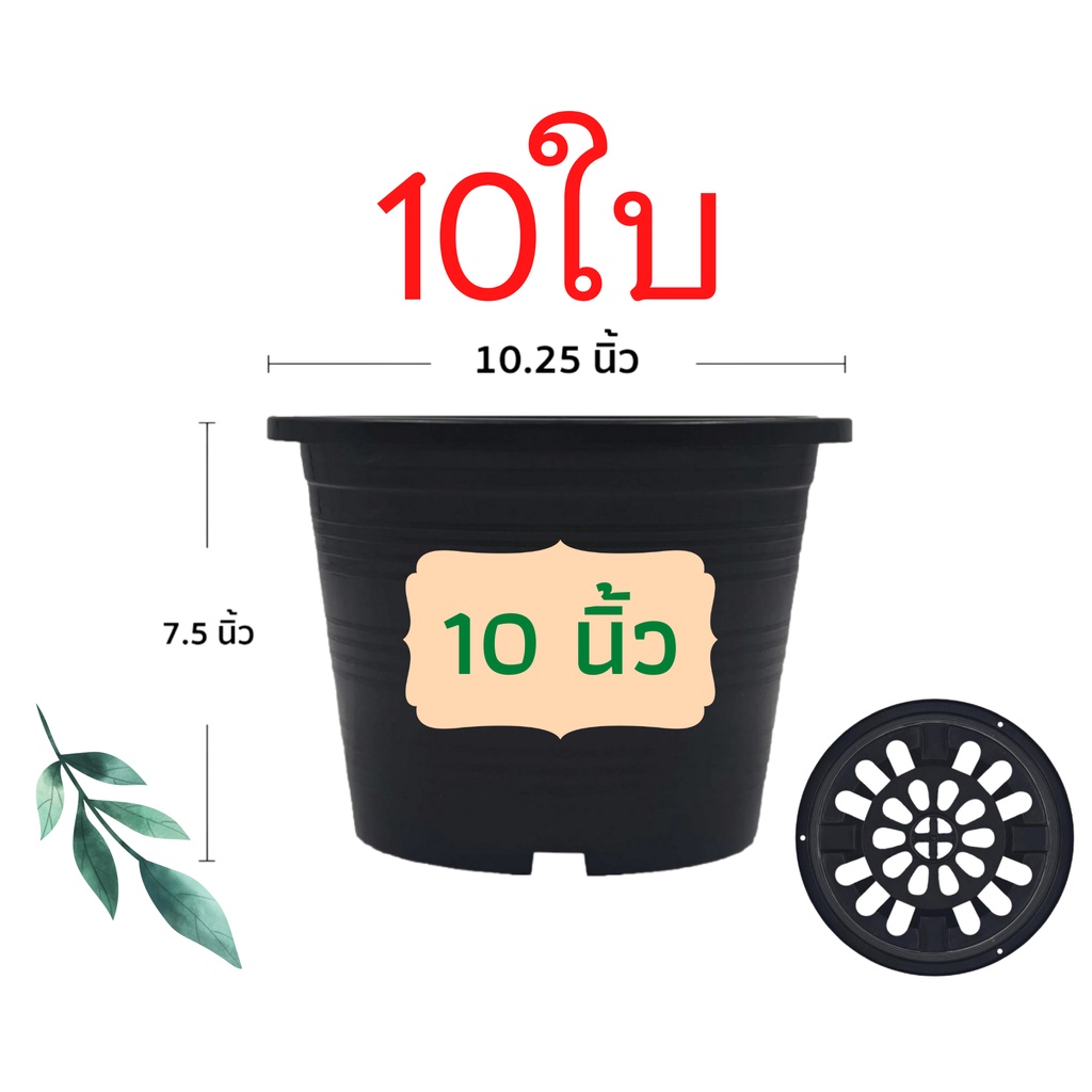 กระถางต้นไม้พลาสติก กระถางต้นไม้ กระถาง สีดำ สีขาว 10 นิ้ว 10ใบ ราคาส่ง