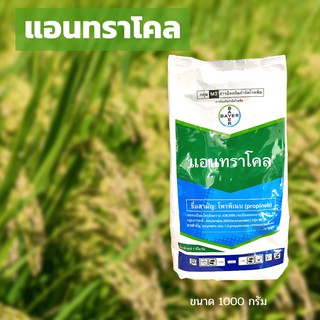 แอนทราโคล-โพรพิเนบ 70% WP- ขนาดบรรจุ 1 กิโลกรัม