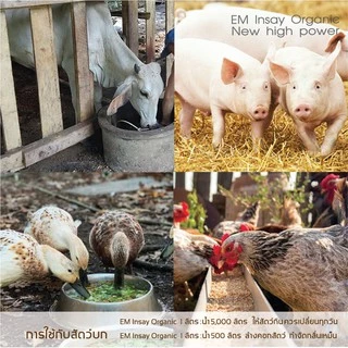 EM INSAY หัวเชื้อจุลินทรีย์ บำบัดน้ำ หมักปุ๋ย ดับกลิ่น ใช้เลี้ยงสัตว์ บำรุงพืช ชุด 1ลิตร 3 แกลอน