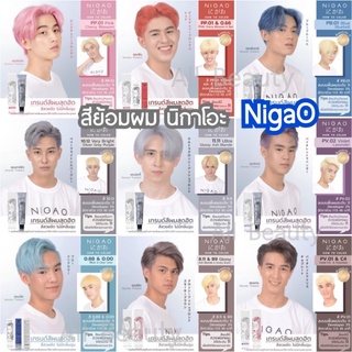 สีนิกาโอะ สูตร ไม่มีแอมโมเนีย 100มล.+ไฮโดรเจน Nigao Hair Color Cream No Ammonia / แม่สี 30มล ไม่มีไฮโดรเจน