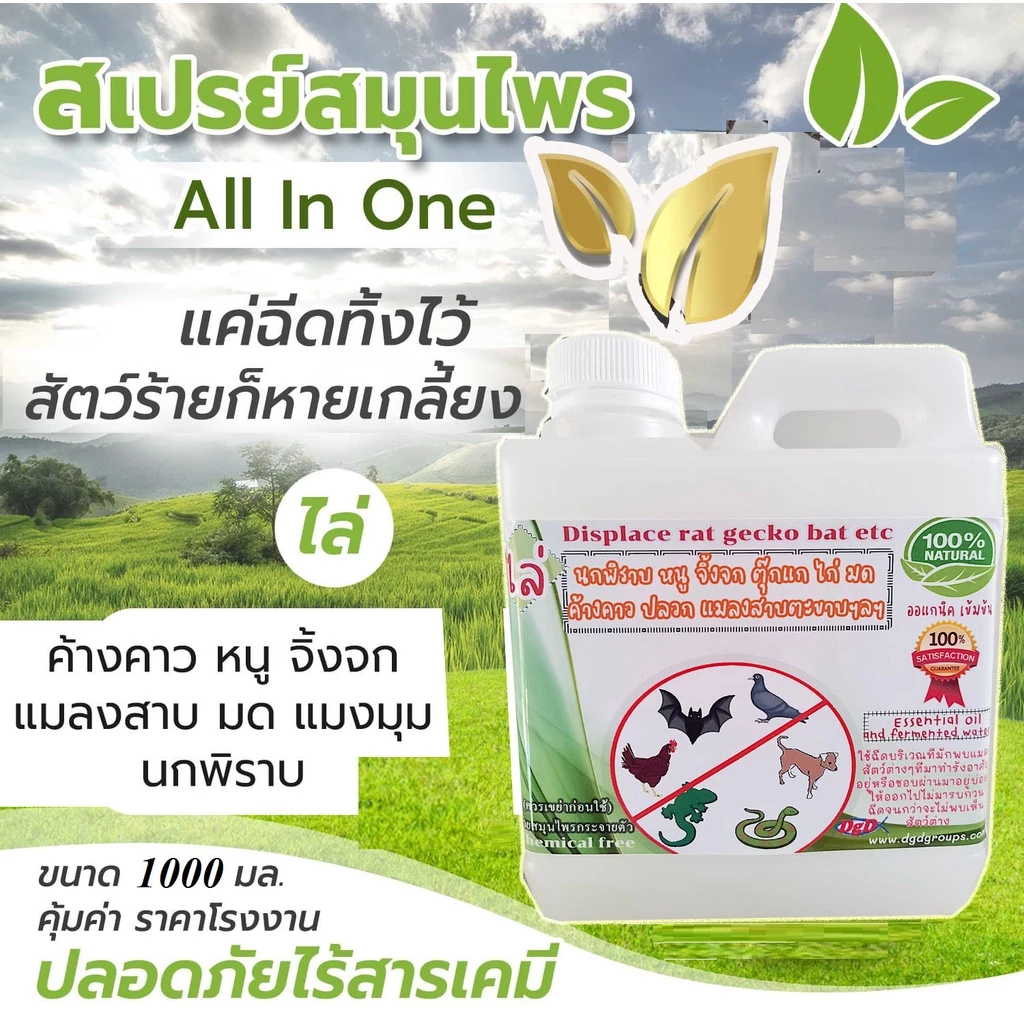 ไล่นก ไล่หนู จิ๊กจก มด แมลงสาบ แมลงวัน-หวี่ (1 ลิตร ) (MG-1) สเปรย์ ออ อิน วัน organic ปลอดภัยต่อผู้ใช้และสัตว์เลี้ยง
