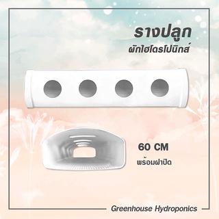 รางปลูกผักไฮโดรโปนิกส์แบบน้ำนิ่ง ยาว 60 ซม. 4 ช่องปลูก by hydroponicgroup