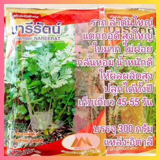 เมล็ดผักชี นารีรัตน์ ตราภูเขาทอง 300 กรัม เมล็ดพันธุ์ผักชี ( ผักชีป้อม ผักชีจีน ผักชีไทย ผักชีเลือด ผักชี เม็ดผักชี )