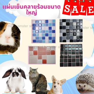 (MMPetShop)แผ่นเย็นคลายร้อน สำหรับแฮมสเตอร์ น้องหมา น้องเเมวและสัตว์เลี้ยงอื่นๆ