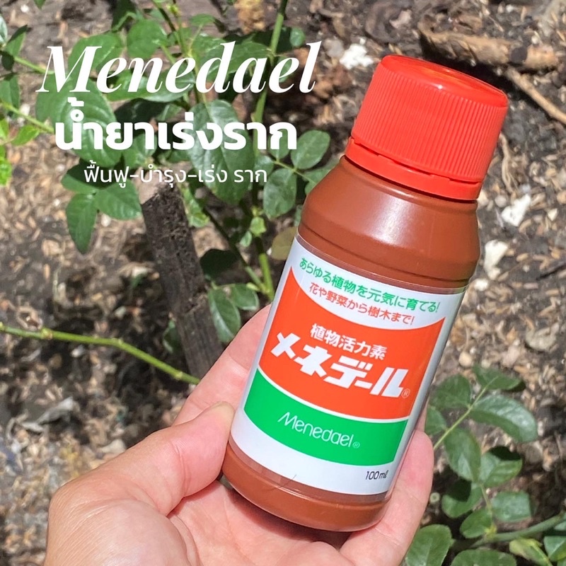 พร้อมส่ง น้ำยาเร่งราก Menedael ฟื้นฟูต้นไม้ รากฟู รากพืช (J001) – โปรปัง