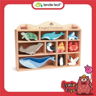 Tender Leaf Toys ของเล่นไม้ ของเล่นเสริมพัฒนาการ ชุดสัตว์ท้องทะเล Coastal Creatures