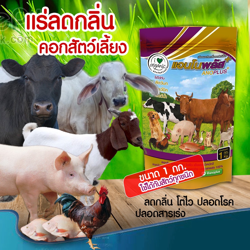แอนโนพลัส แร่ธรรมชาติสำหรับสัตว์เลี้ยง 1 กิโลกรัม อาหารเสริมสัตว์ โตไว ผสมติดง่าย ลดกลิ่น ลดต้นทุน