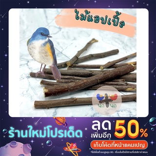 &lt; ไม้แอปเปิ้ล 50g  &gt; Apple stick ไม้แทะ ไม้แทะลับฟัน ลับฟัน ไม้ ไผ่ ไผ่หวาน สัตว์ นก ฟอฟัส นกแก้ว ชูการ์ กระรอก แฮม