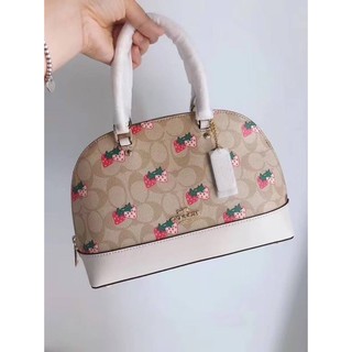 Coach MINI SIERRA SATCHEL IN SIGNATURE CANVAS