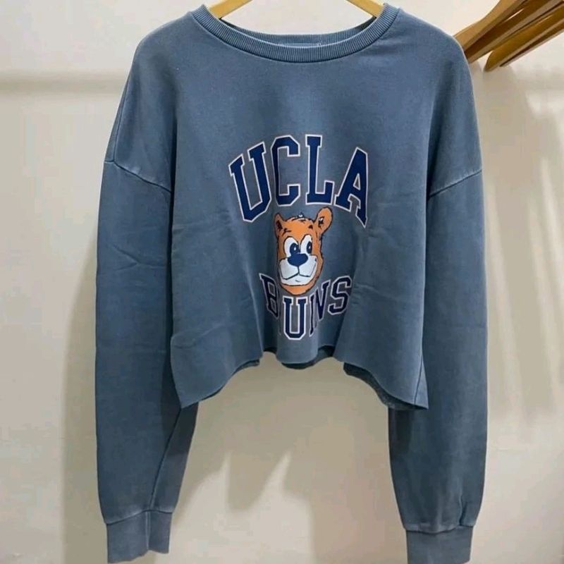Dchels Bruins Ucla Crop Sweater Crewneck Oversize