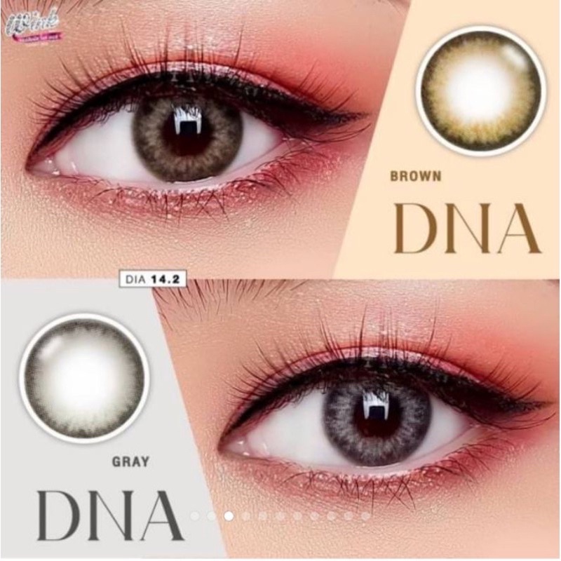 DNA Gray Blue Brown Wink Lens is คอนแทคเลนส์ สีเทา สีฟ้า สายฝอ ตาฝรั่ง โทนฝรั่ง ขอบฟุ้ง ลายฮิต ลายขา