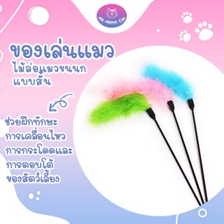 [ ABC cat ] ไม้แมว ไม้ล่อแมวแบบสั้น คละสี ไม้ตกแมวแบบสั้น ของเล่นแมว ของเล่นสัตว์เลี้ยง