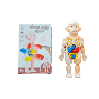 MISBOOK โมเดลร่างกายมนุษย์ แถมพร้อมหนังสือและการ์ด Human Body Model ของเล่นแนววิทยาศาสตร์ โมเดลจำลอง