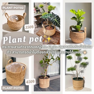 Plant Pot 🧺 กระถางสานทำจากกอหญ้าถัก มีหูจับ มีพลาสติกกันน้ำซึมในตัว สามารถรดน้ำไม่ต้องกลัวน้ำซึมลงสานได้เลยนะ