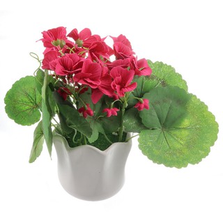 บีโกเนียสีชมพูเข้มในกระถางเซรามิก ARTIFICIAL BEGONIA IN CERAMIC POT DARK PINK