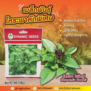 เมล็ดพันธุ์โหระพา ใบใหญ่ (Dynamic Seeds) ขนาด 50 กรัม