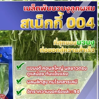 บวบงู สเน็กกี้ 004 เมล็ดพันธุ์คัดพิเศษ 20 ก.ตราเจียไต๋