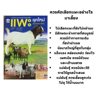 หนังสือการเลี้ยงแพะ แพะยุคใหม่รับตลาดอาเซียน : ทำไมต้องเลี้ยงแพะ, พันธุ์แพะ, การจัดการเลี้ยงดู, บทสัมภาษณ์ฟาร์มแพะ