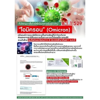 [10 กล่อง] [ตรวจได้ทั้ง น้ำลาย/แยงจมูก]Gica Antigen Test Cassette ATK ชุดตรวจ 3in1 แอนติเจนโควิด19 ชุดตรวจโควิด Covid-19
