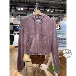 (2)preorder brandy melville crystal velvet hoodie